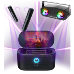 karaoke party rental with disco lights